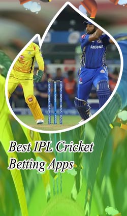 Best ipl betting app in india