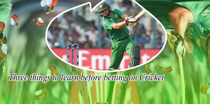 Best website in asia cricket betting