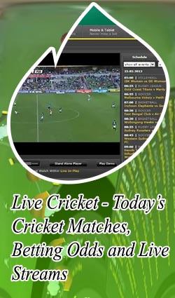 Bet365 live cricket scores