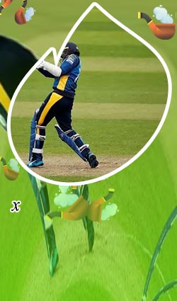 Betcricket