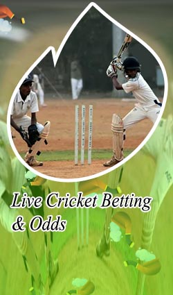 Cricket bet in india