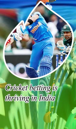 Cricket betting app india