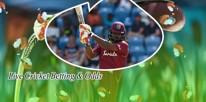 Cricket exchange betting