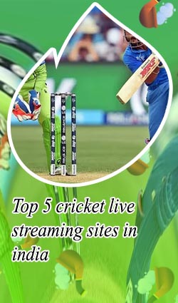 Top cricket streaming sites in Indian Rupees