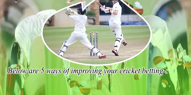 What is risk and to win in cricket betting