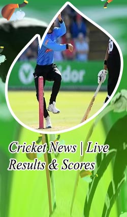 What's the cricket score